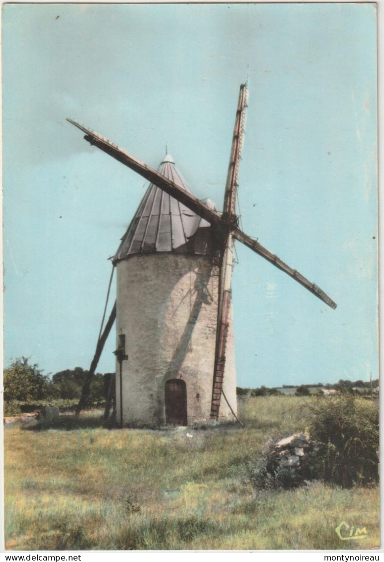 Charente  Maritime :  PONT L ' ABBE D ' Arnoult : Le  Moulin  Du  Fort - Pont-l'Abbé-d'Arnoult