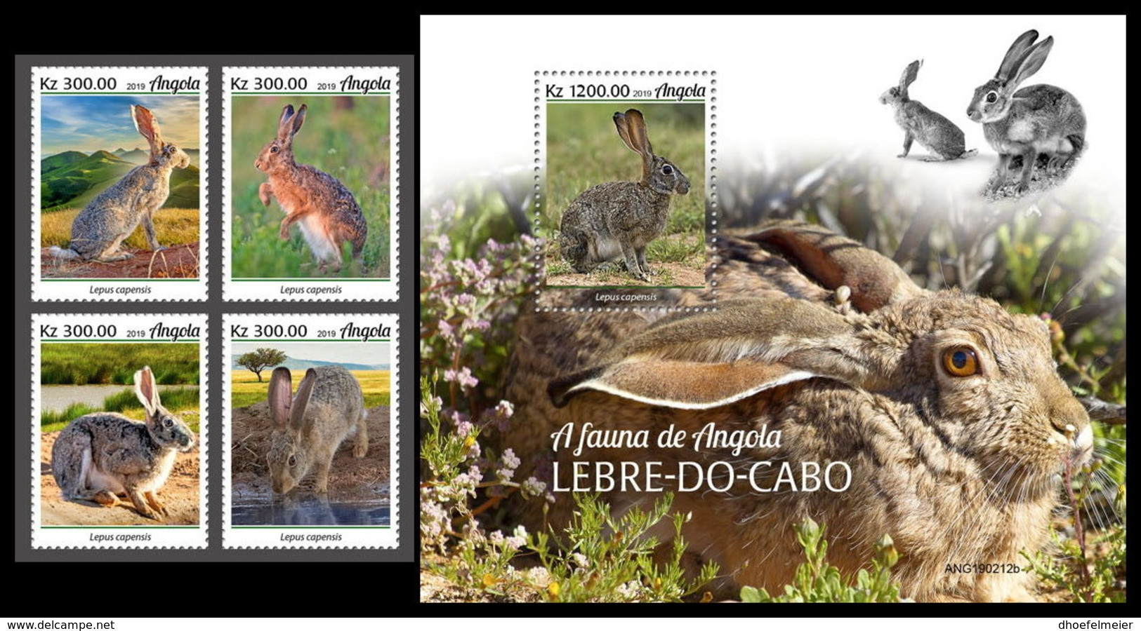 ANGOLA 2019 MNH Cape Hare Kap-Hase Cape Hare 4v+S/S - OFFICIAL ISSUE - DH2005 - Conejos