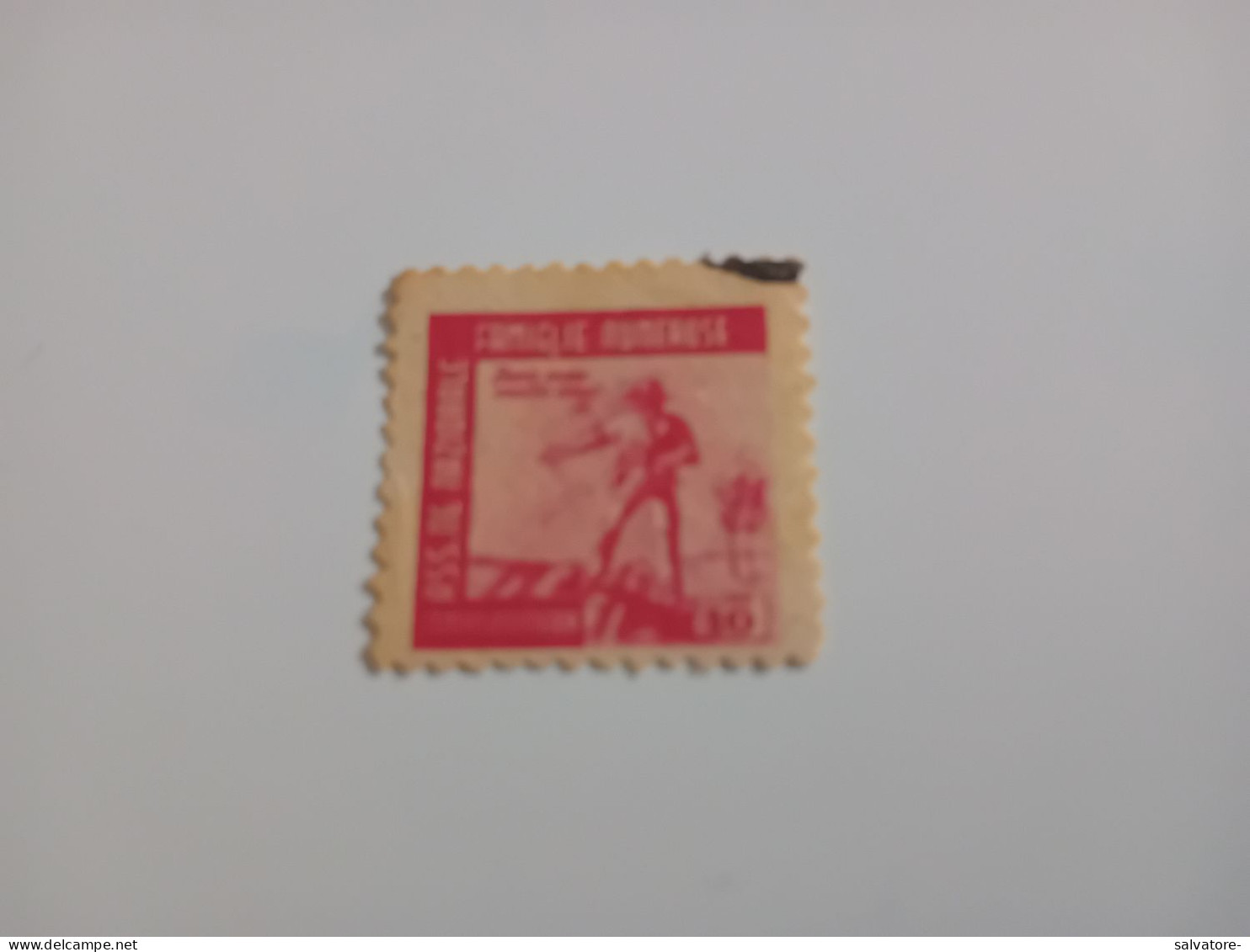 MARCA DA BOLLO ASSOCIAZIONE NAZIONALE FAMIGLIE NUMEROSE - Revenue Stamps