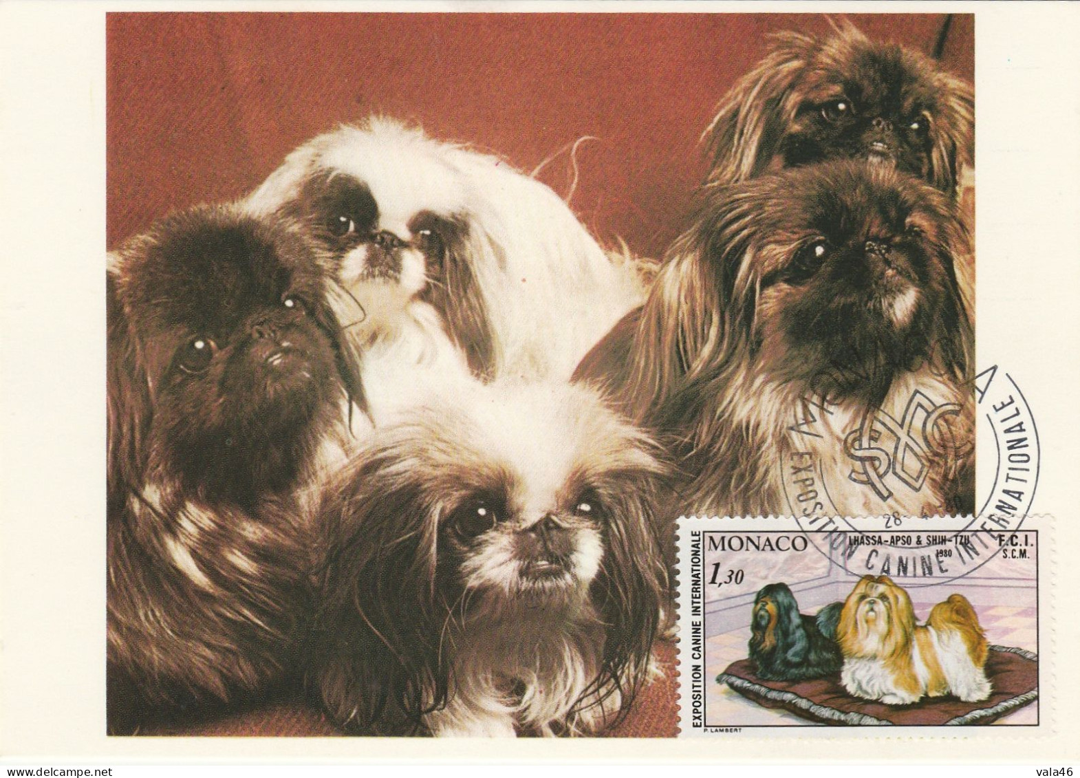 MONACO CHIEN EXPOSITION  CANINE  MONTE CARLO 1980  N° 1232 SUR CARTE MAXIMUM - Maximum Cards