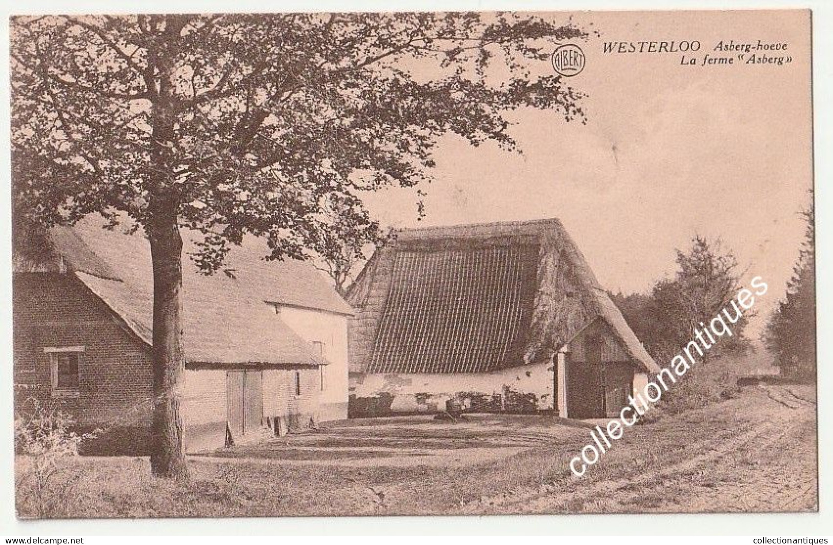 CPA Westerloo - Asberg Hoeve La Ferme Asberg - Non Circulée - Divisée - Uitg. J; Van Elst-Willems, Westerloo - Westerlo