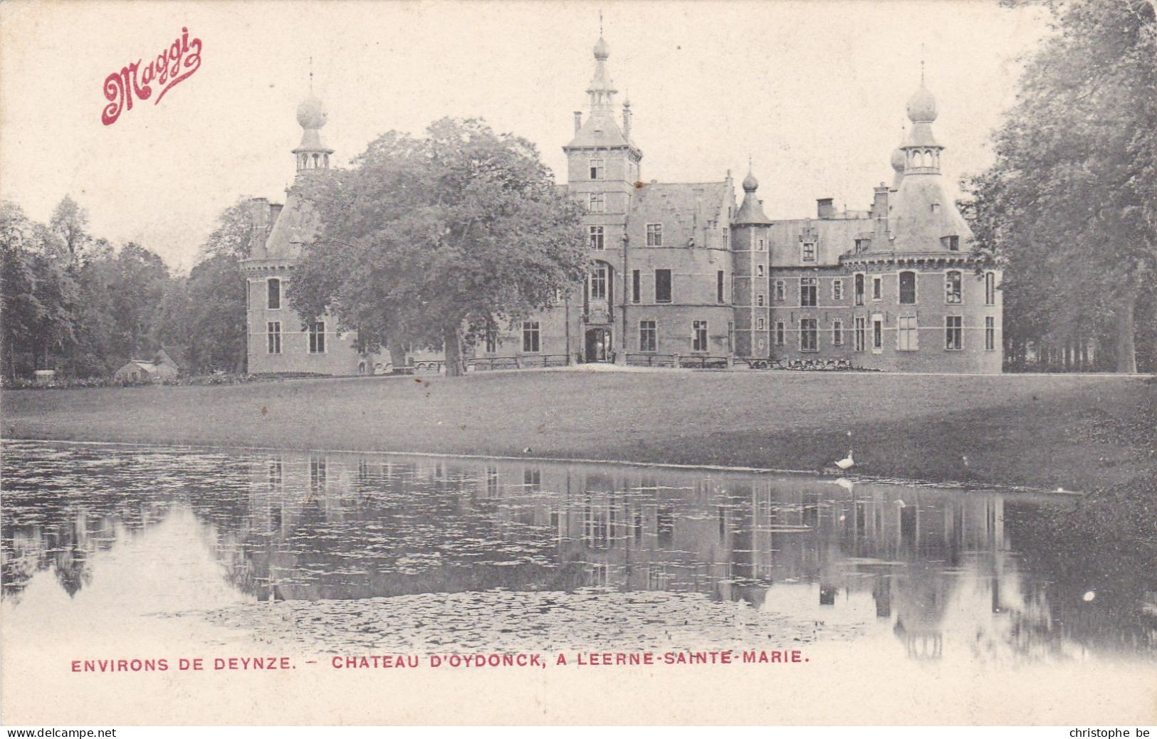 Deinze Bachte Maria Leerne, Kasteel Ooidonk, Château D'Oydonck (pk85876) - Deinze