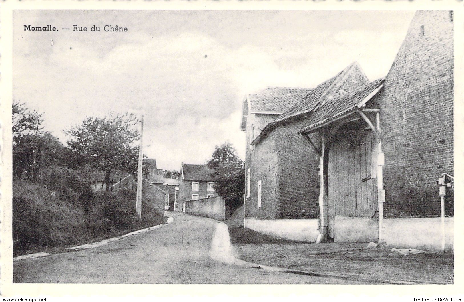 BELGIQUE - Momalle - Rue Du Chene - Carte Postale Ancienne - Sonstige & Ohne Zuordnung