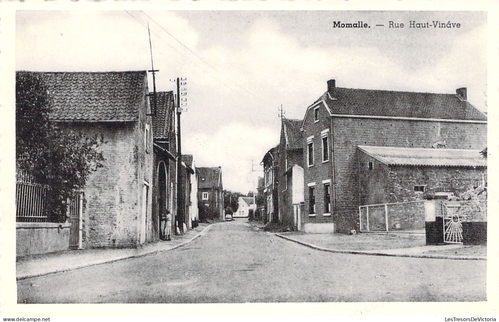 BELGIQUE - Momalle - Rue Haut Vinave - Carte Postale Ancienne - Sonstige & Ohne Zuordnung