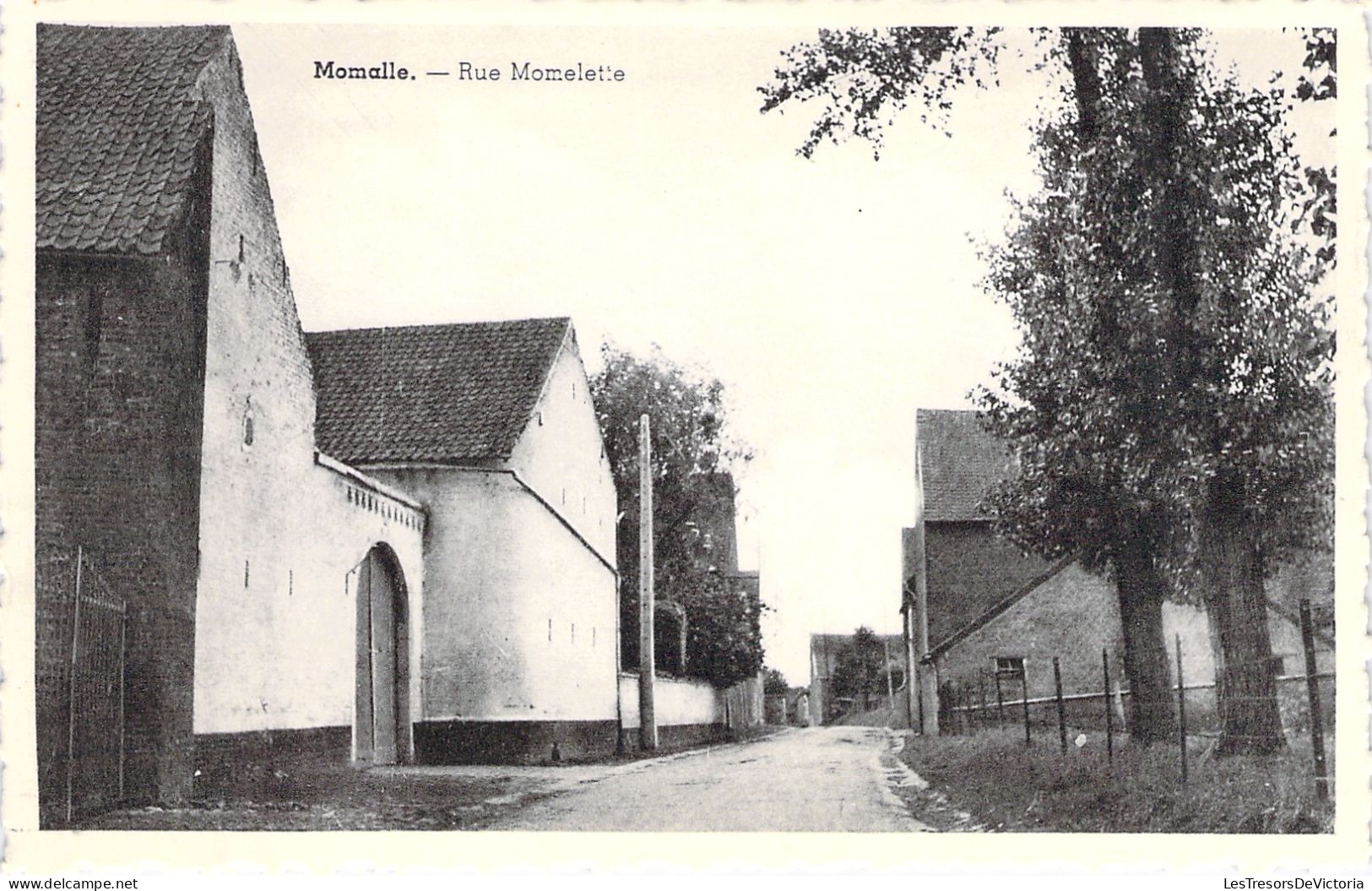 BELGIQUE - Momalle - Rue Momelette - Carte Postale Ancienne - Sonstige & Ohne Zuordnung