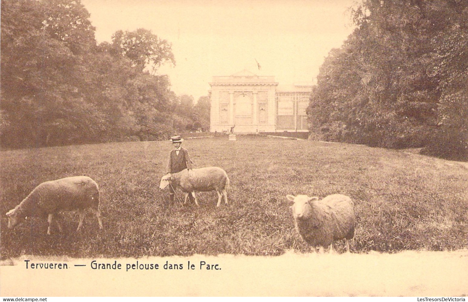 BELGIQUE - Tervueren - Grande Pelouse Dans Le Parc  - Carte Postale Ancienne - Tervuren