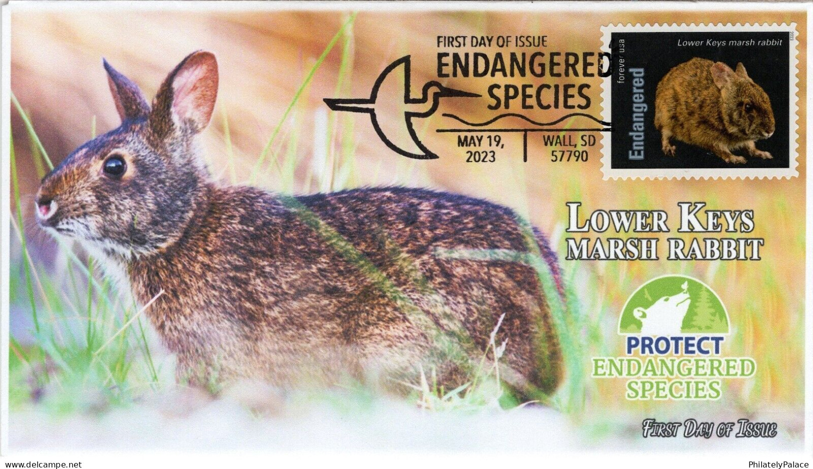 USA 2023 Lower Keys Marsh Rabbit, Endangered Species, Animal,Pictorial Postmark, FDC Cover (**) - Cartas & Documentos