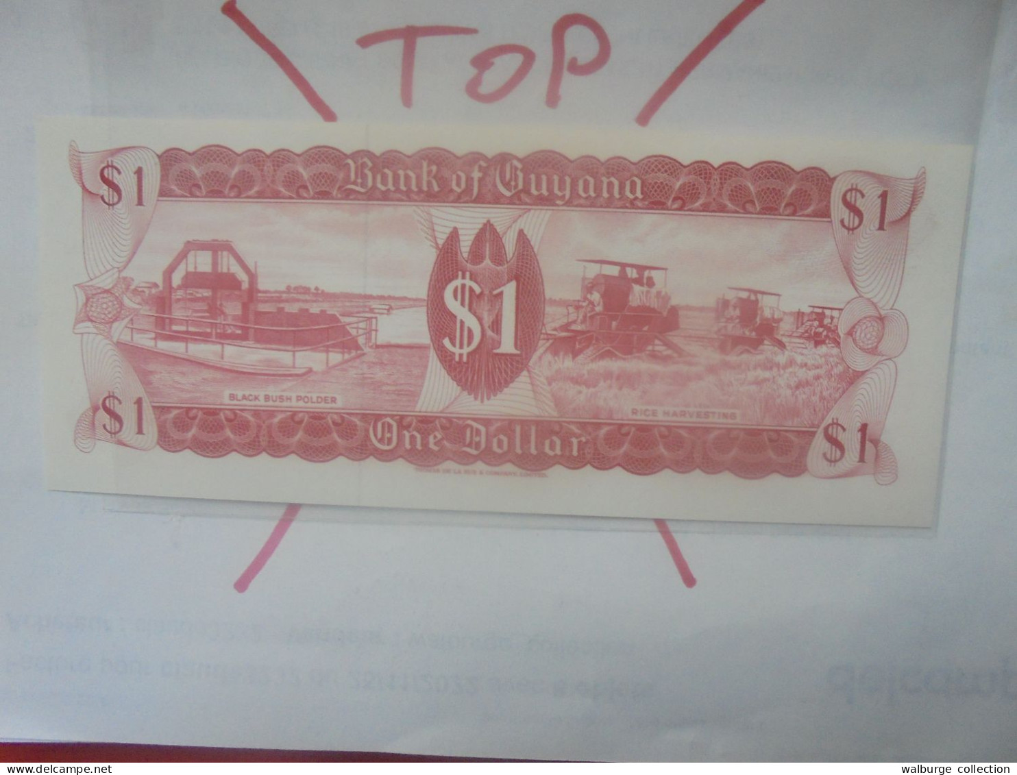 GUYANA 1$ 1983 Neuf (B.31) - Guyana