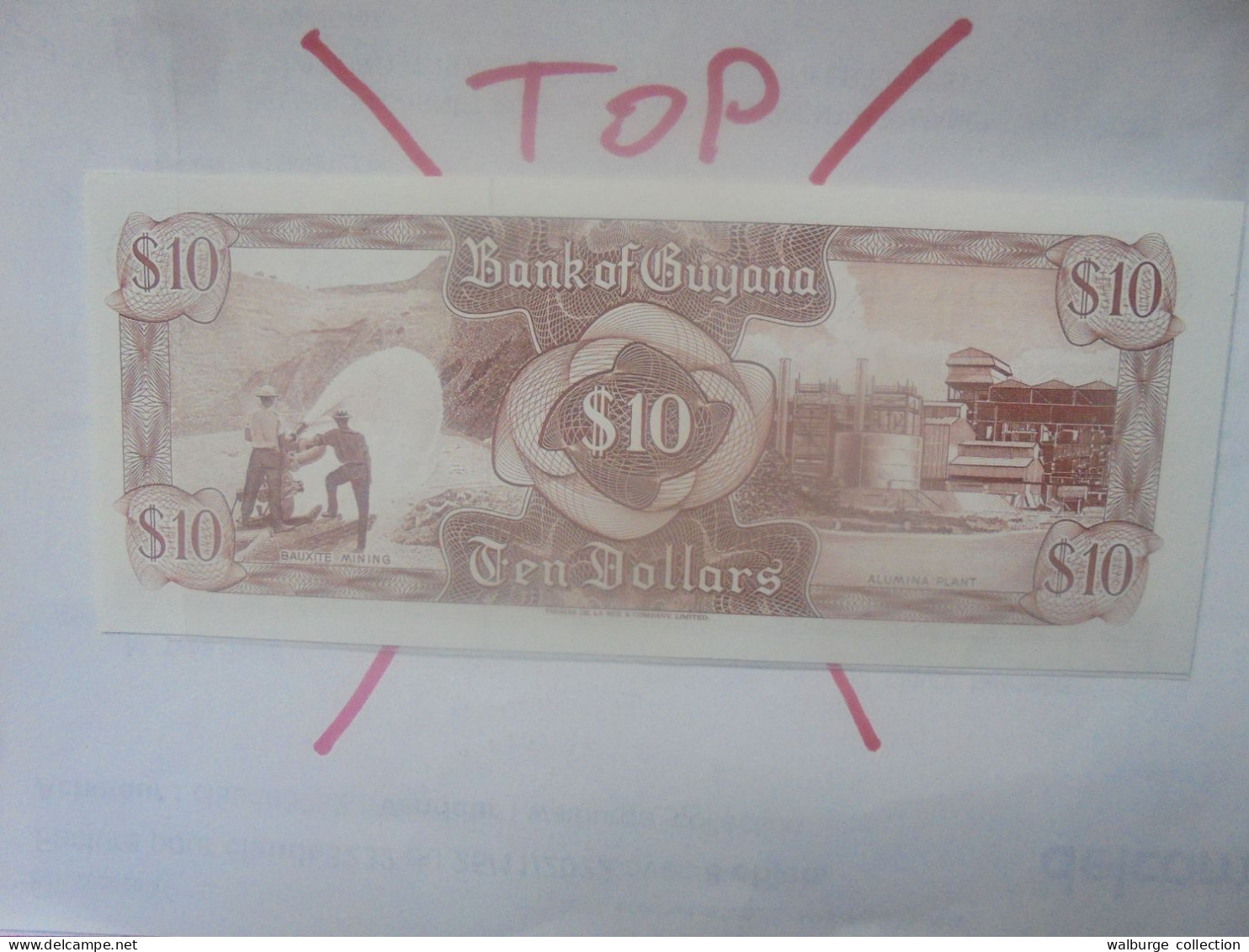 GUYANA 10$ 1989 Neuf (B.31) - Guyana