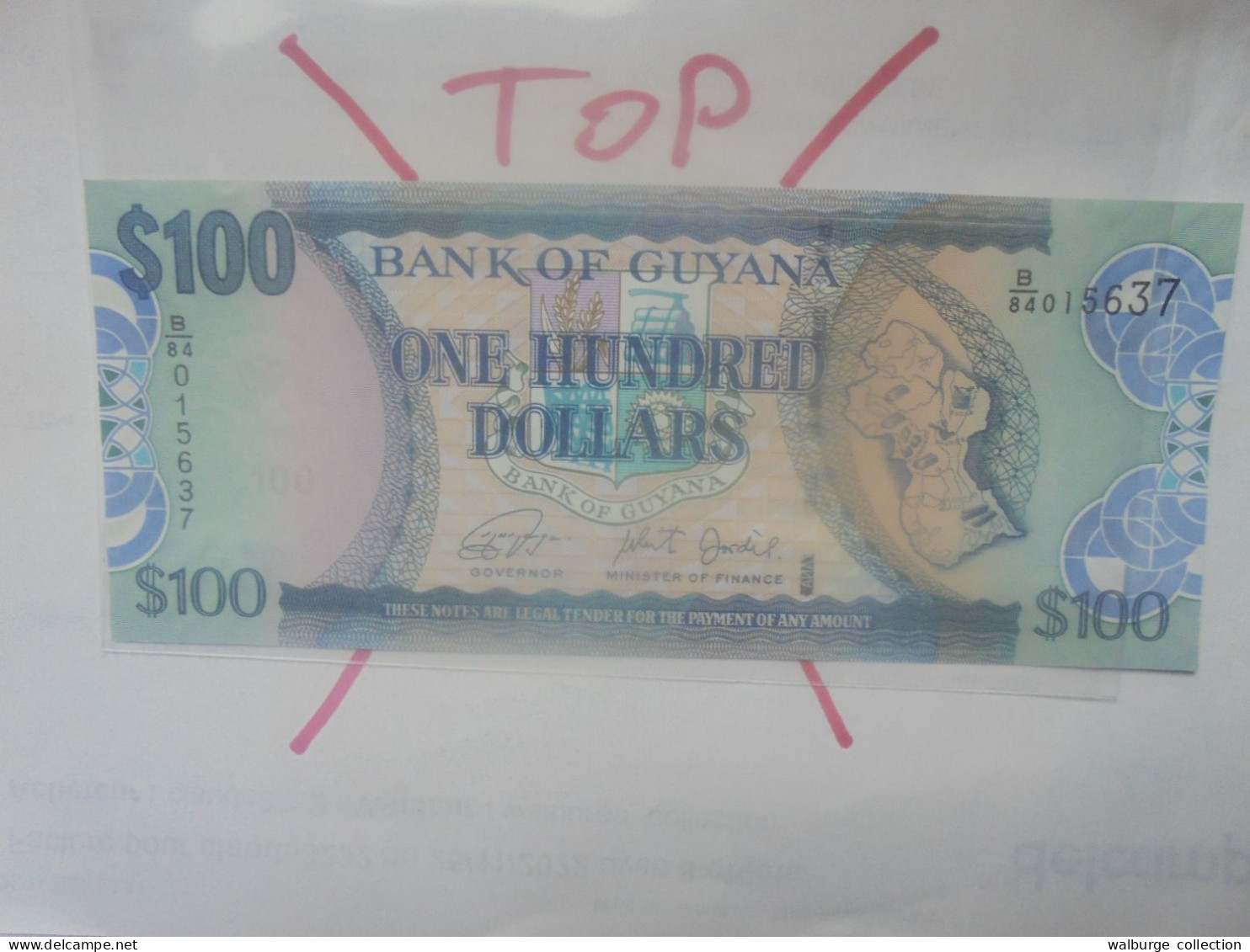 GUYANA 100$ 2006 Neuf (B.31) - Guyana