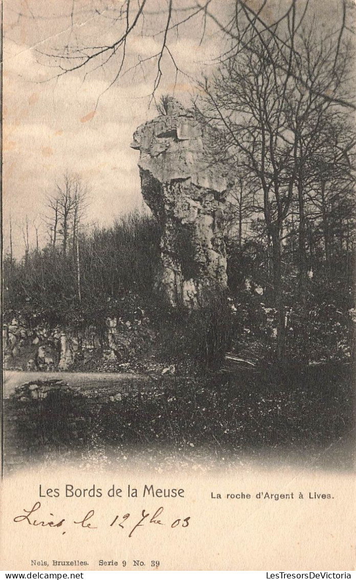 BELGIQUE - Namur - Les Bords De La Meuse - La Roche D'Argent à Lives - Carte Postale Ancienne - Namur