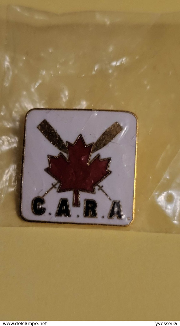 Pin's Canada Avirons P79 - Canottaggio