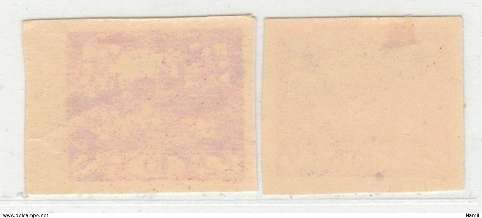 Tchécoslovaquie 1918 Mi  3 (Yv 5), (MH) Trace De Charniere, Couleurs - Unused Stamps