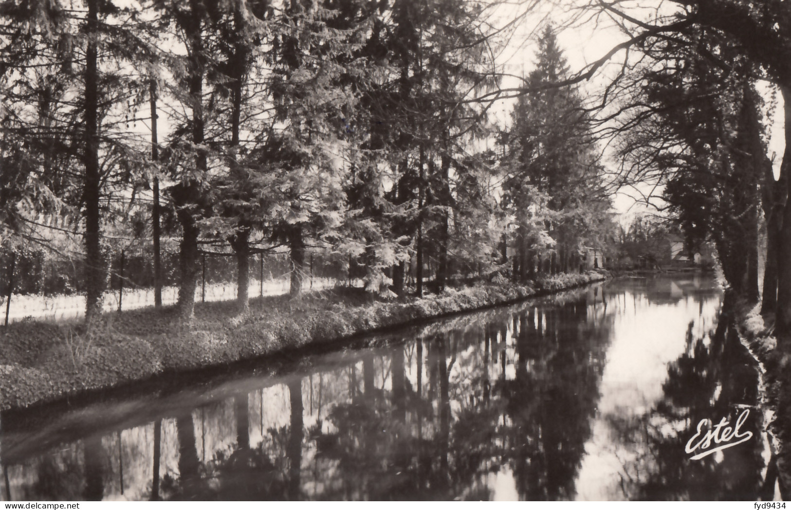 CPA - St Vrain - Les Bords De La Juine - La Route D'Itteville - Saint Vrain