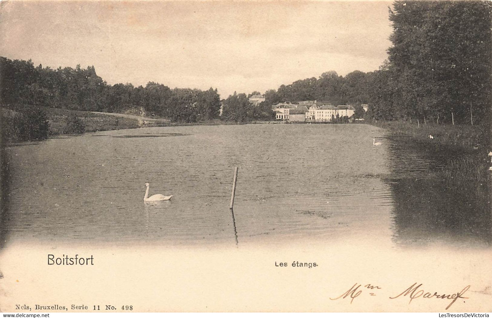 BELGIQUE - Souvenir De Boitsfort - Les Etangs - Cygnes - Village - Carte Postale Ancienne - Watermaal-Bosvoorde - Watermael-Boitsfort