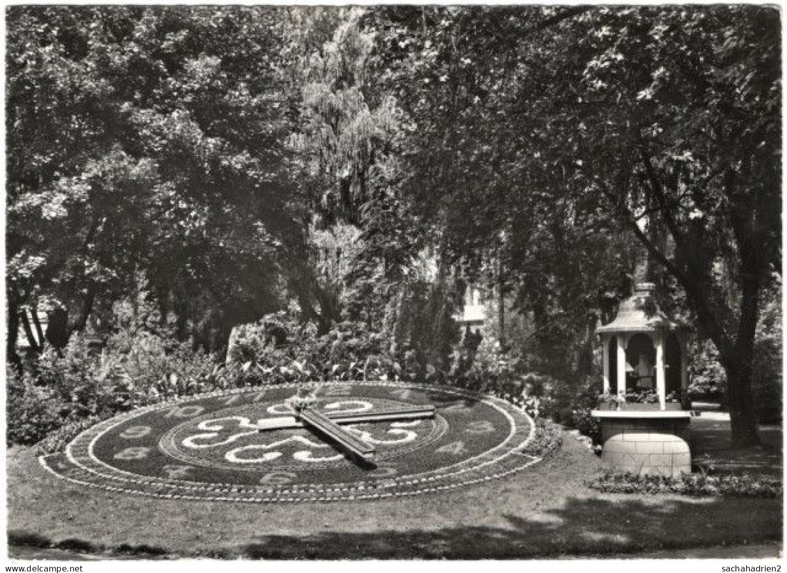 Gf. DIFFERDANGE. Horloge De Fleurs. 223 - Differdange