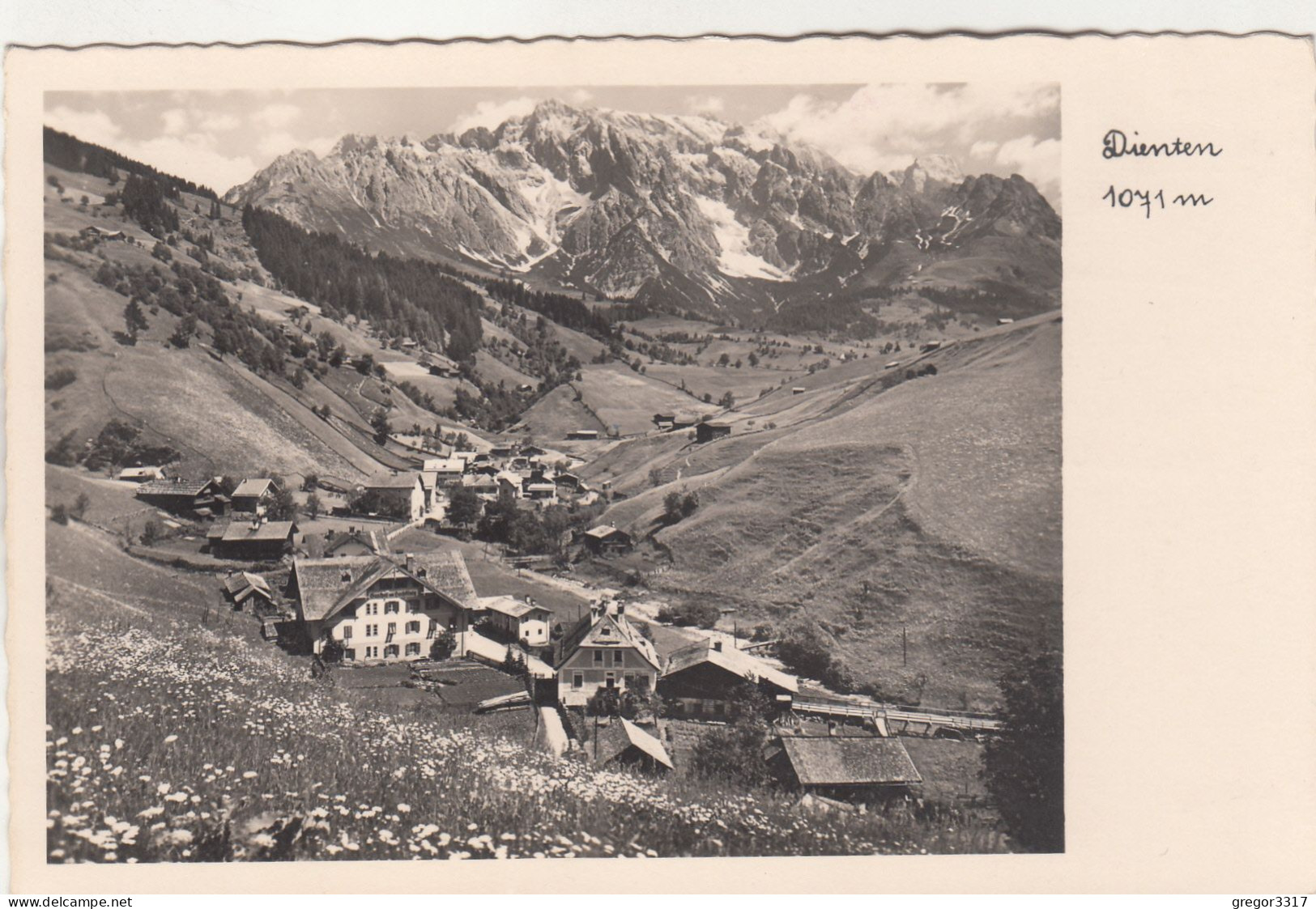 D8670) DIENTEN 1071m Pinzgau - Blumenwiese U. Häuser ALT ! - Dienten