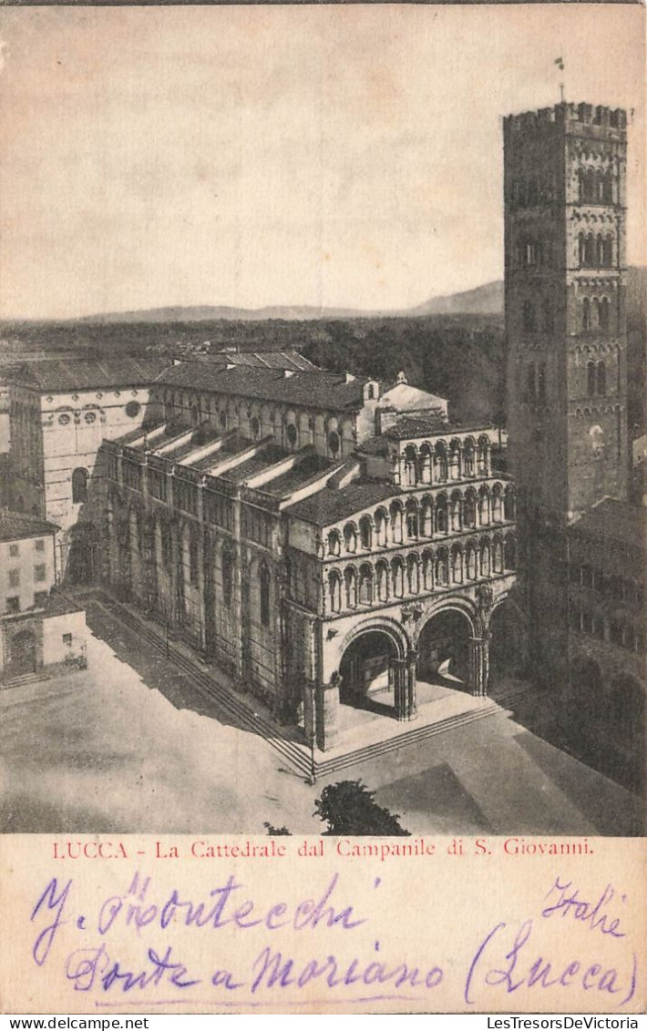 ITALIE - Lucca - La Cathédrale Vue Depuis Le Clocher De San Giovanni - Carte Postale - Lucca