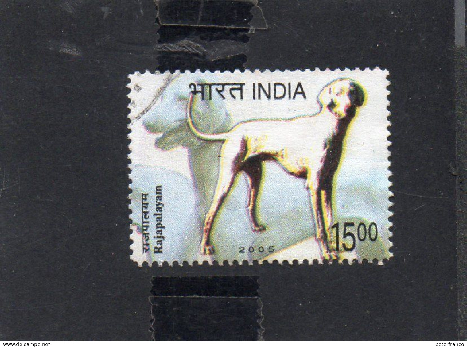 2005 India - Rajapalayam - Cane Indiao - Oblitérés