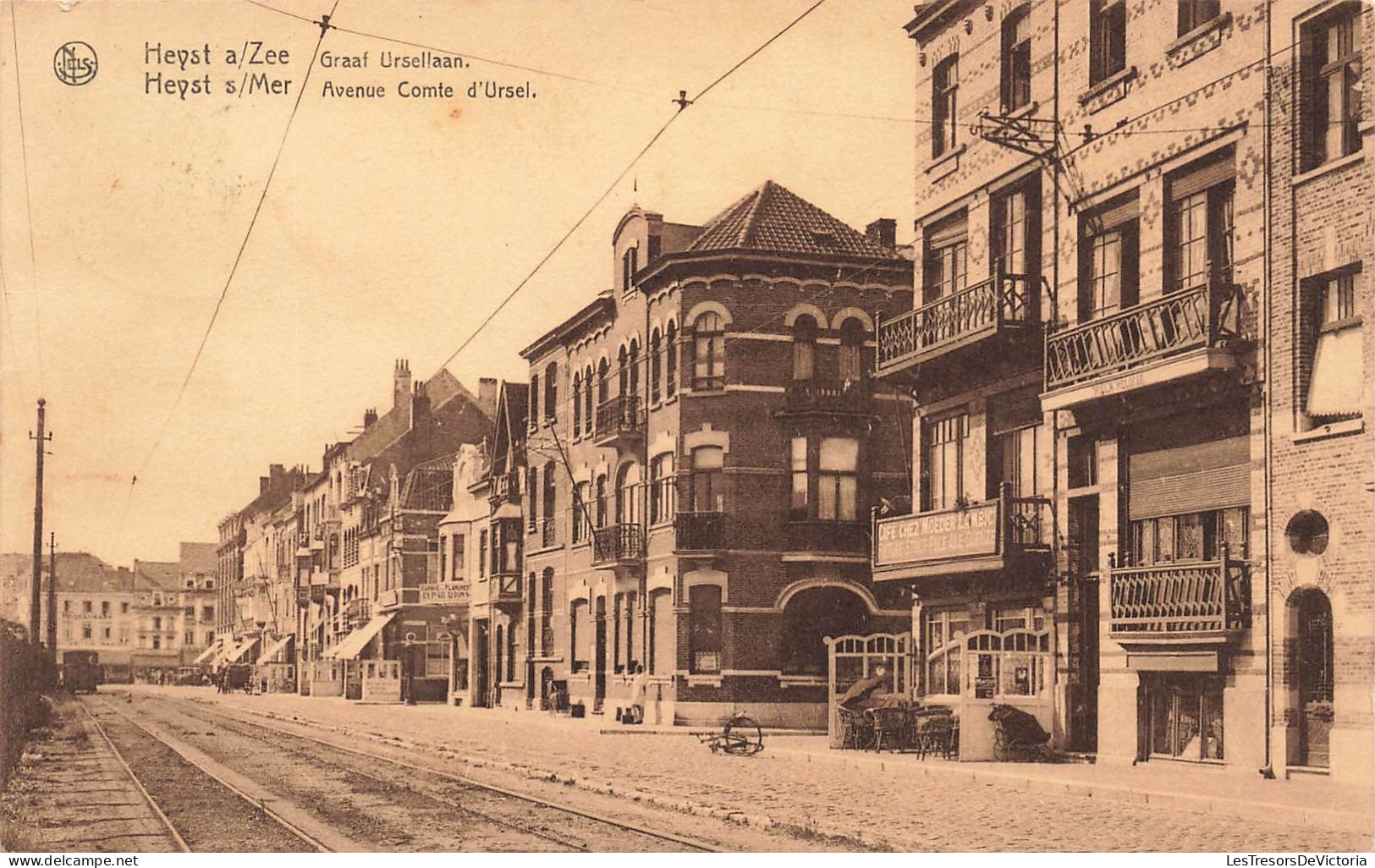 BELGIQUE - Heist - Avenue Comte D'Ursel - Carte Postale Ancienne - Heist