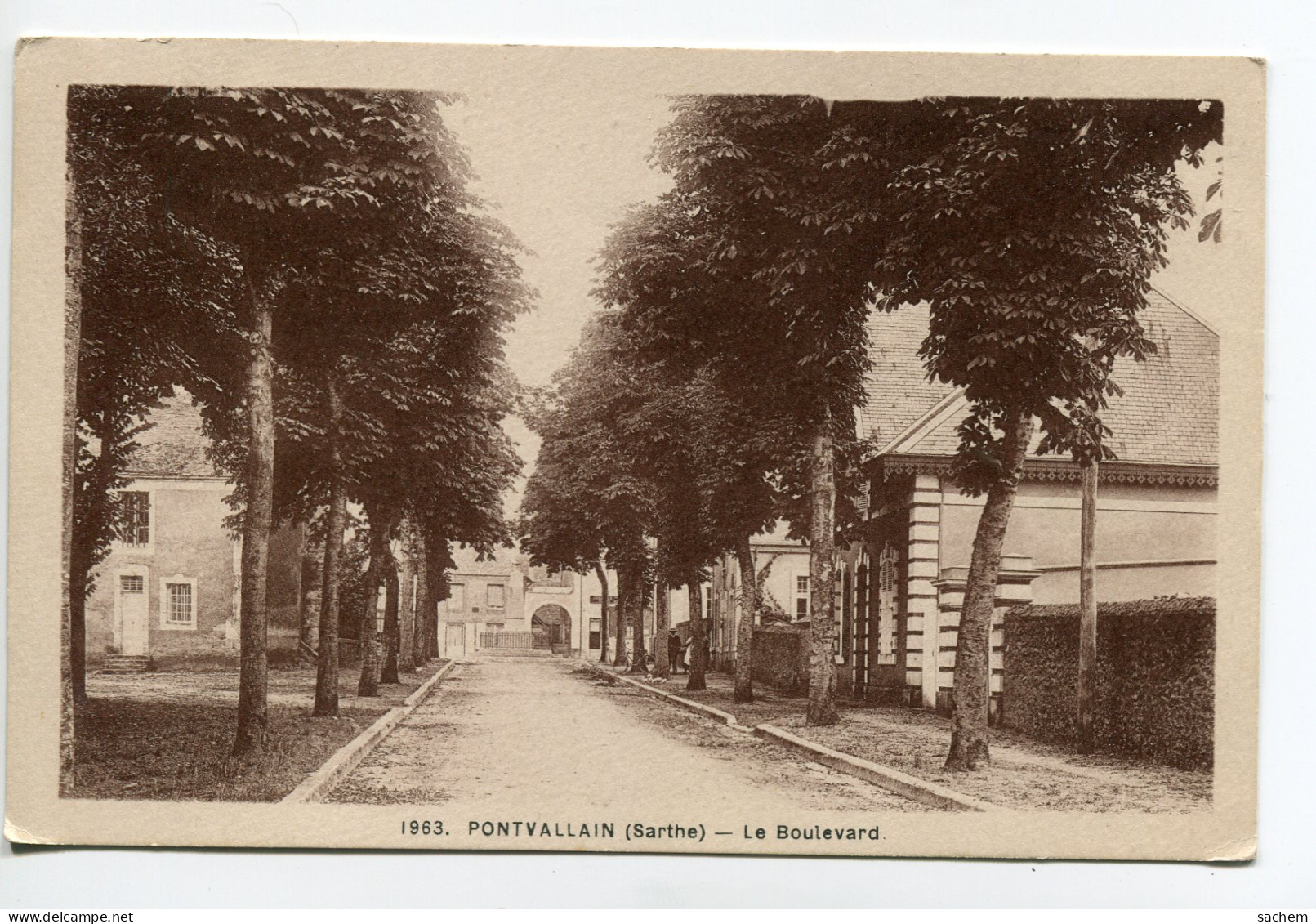 72 PONTVALLAIN Belle Allée Arbres Le Boulevard - Num 1963 édit Dolbeau - écrite 1948 Du Village     /D22-2018 - Pontvallain