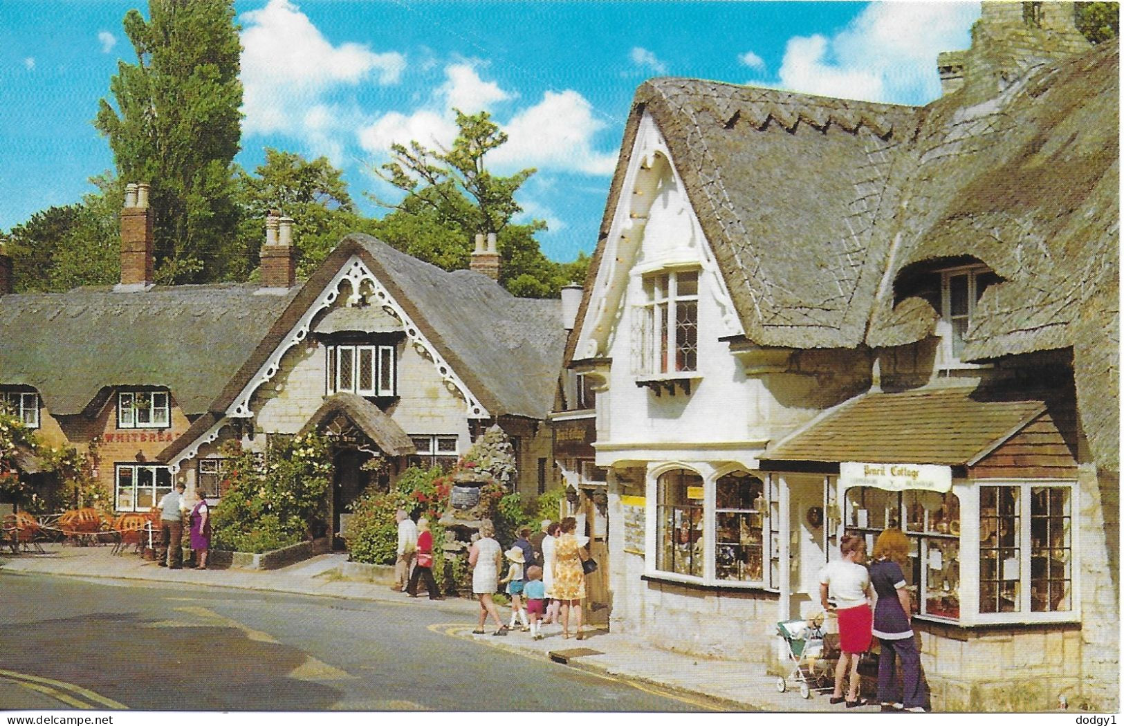 THE OLD VILLAGE, SHANKLIN, ISLE OF WIGHT, ENGLAND. UNUSED POSTCARD   Zq4 - Shanklin