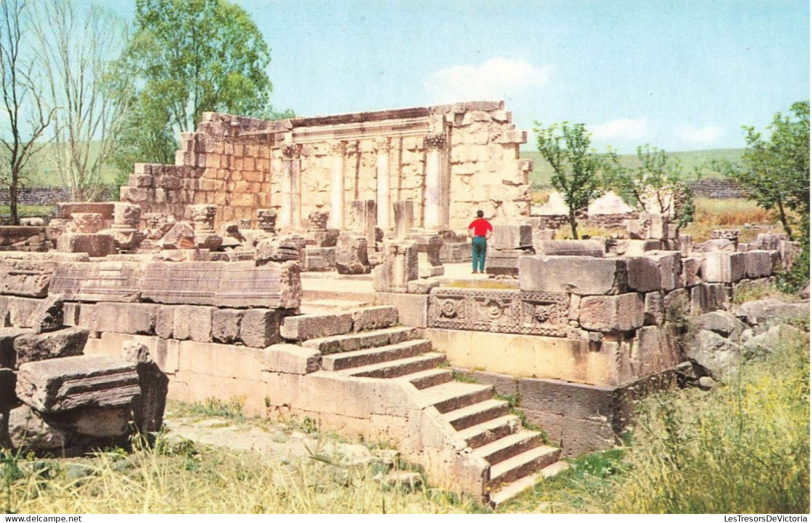 ISRAËL - Capharnaüm - Ruins Of The Anliens Sinagogue At Capernaum - Carte Postale - Israel