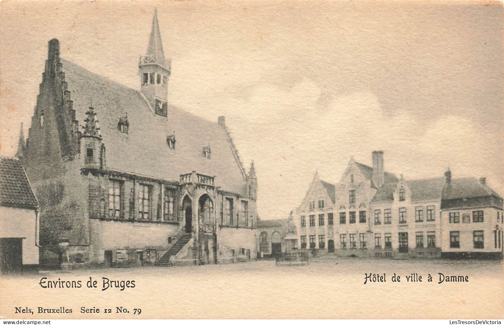 BELGIQUE - Environs De Bruges - Vue Sur L'hôtel De Ville à Damme - Carte Postale Ancienne - Brugge