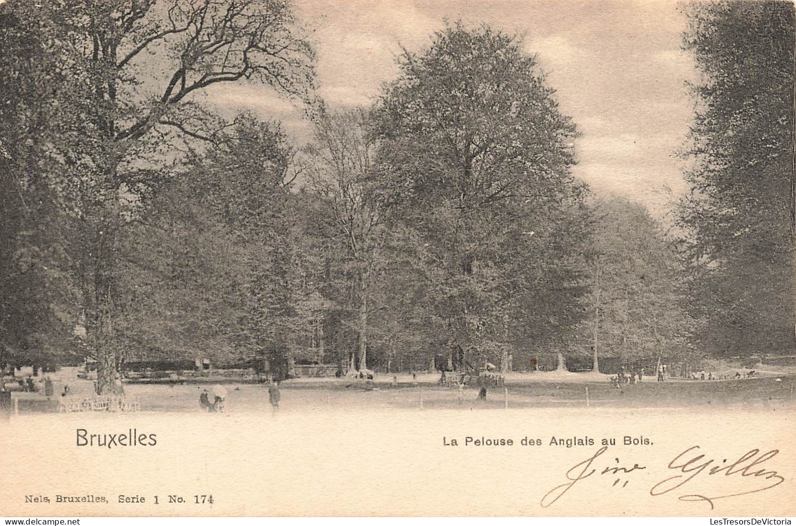 BELGIQUE - Bruxelles - La Pelouse Des Anglais Au Bois - Carte Postale Ancienne - Parks, Gärten
