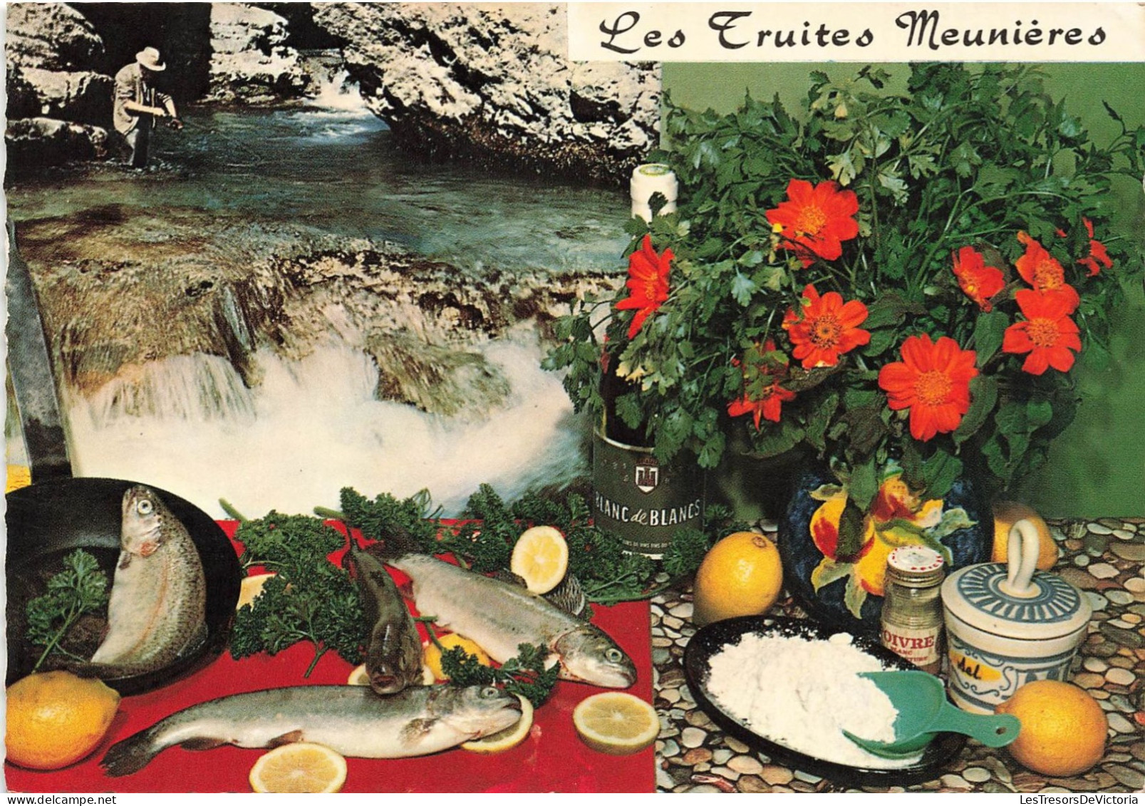 RECETTES - Cuisine - Recette Des Truites Meunière - Colorisé - Carte Postale - Recettes (cuisine)