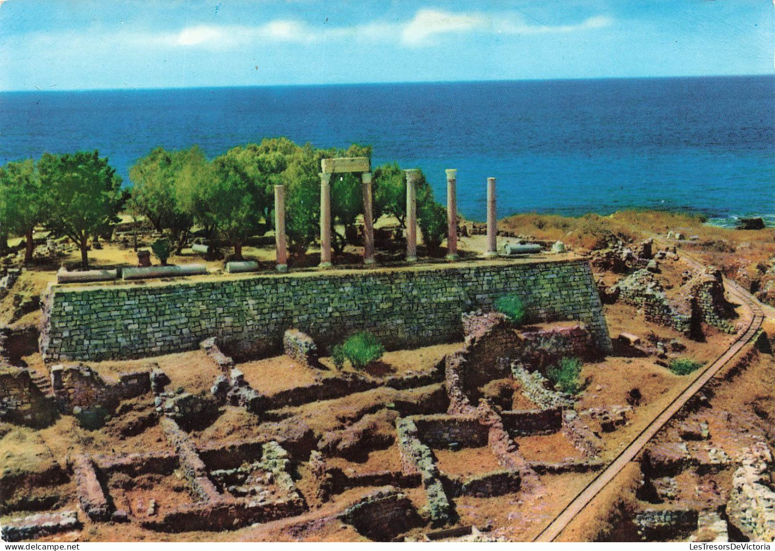 LIBAN - Byblos - Colonnes Greco-Romaines Et Las Ruines Phéniciennes - Carte Postale - Libanon