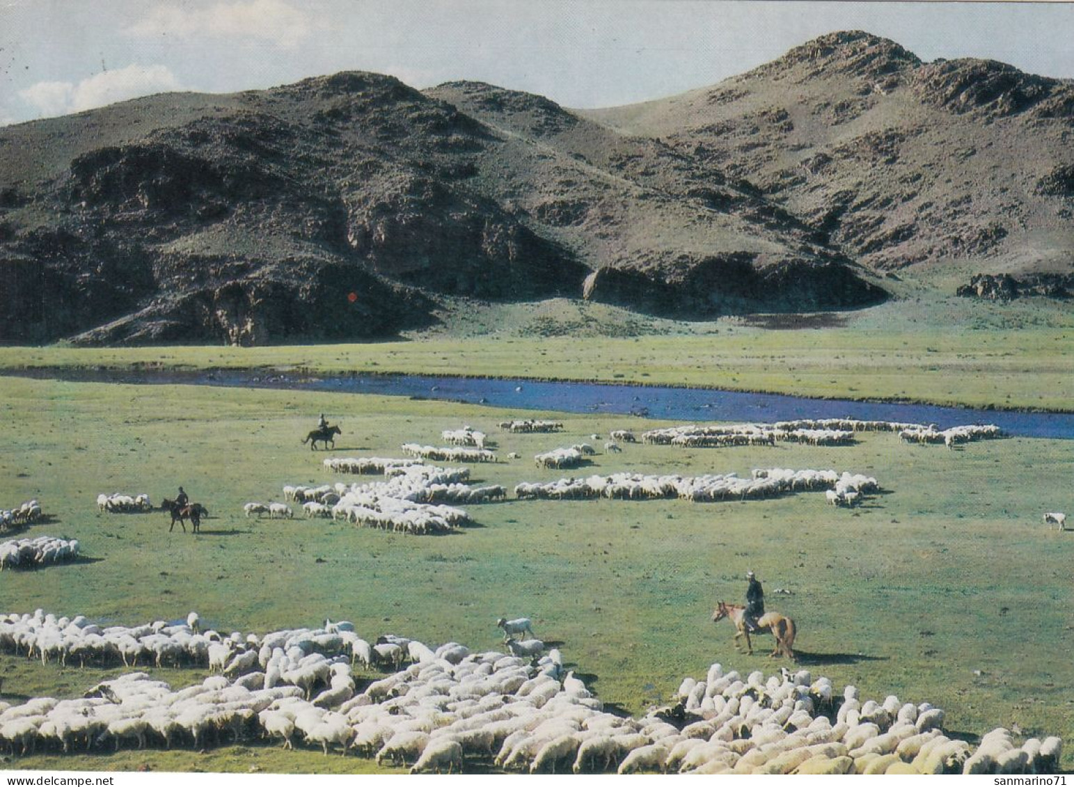 POSTCARD 1327,Mongolia - Mongolie