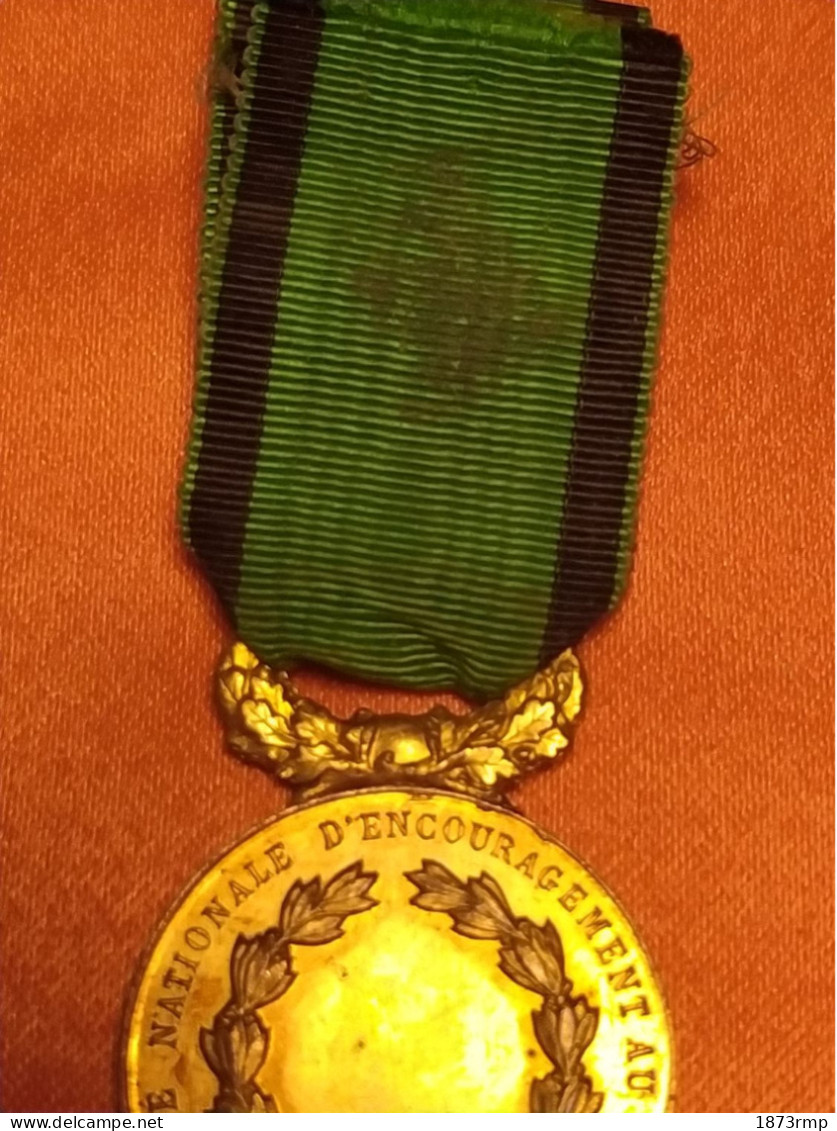 MEDAILLE SOCIETE NATIONALE D'ENCOURAGEMENT AU BIEN, SOCIETE FONDEE EN 1862, FRANCE - Frankreich