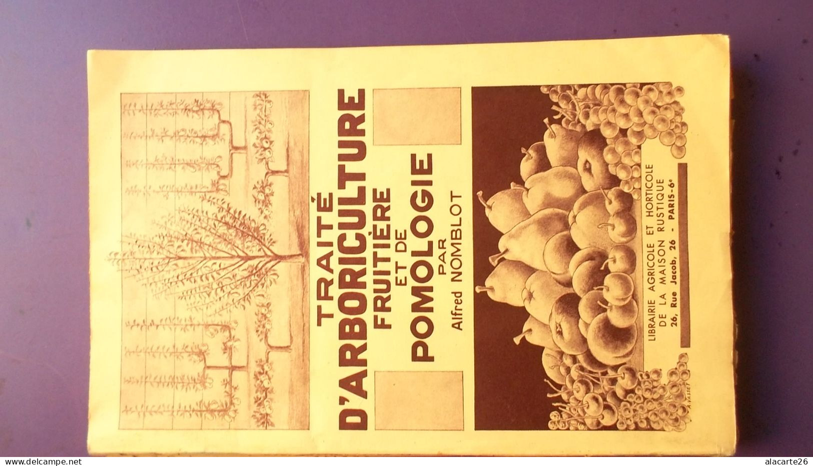 TRAITE D'ARBORICULTURE FRUITIERE ET DE POMOLOGIE / ALFRED NOMBLOT - Sciences