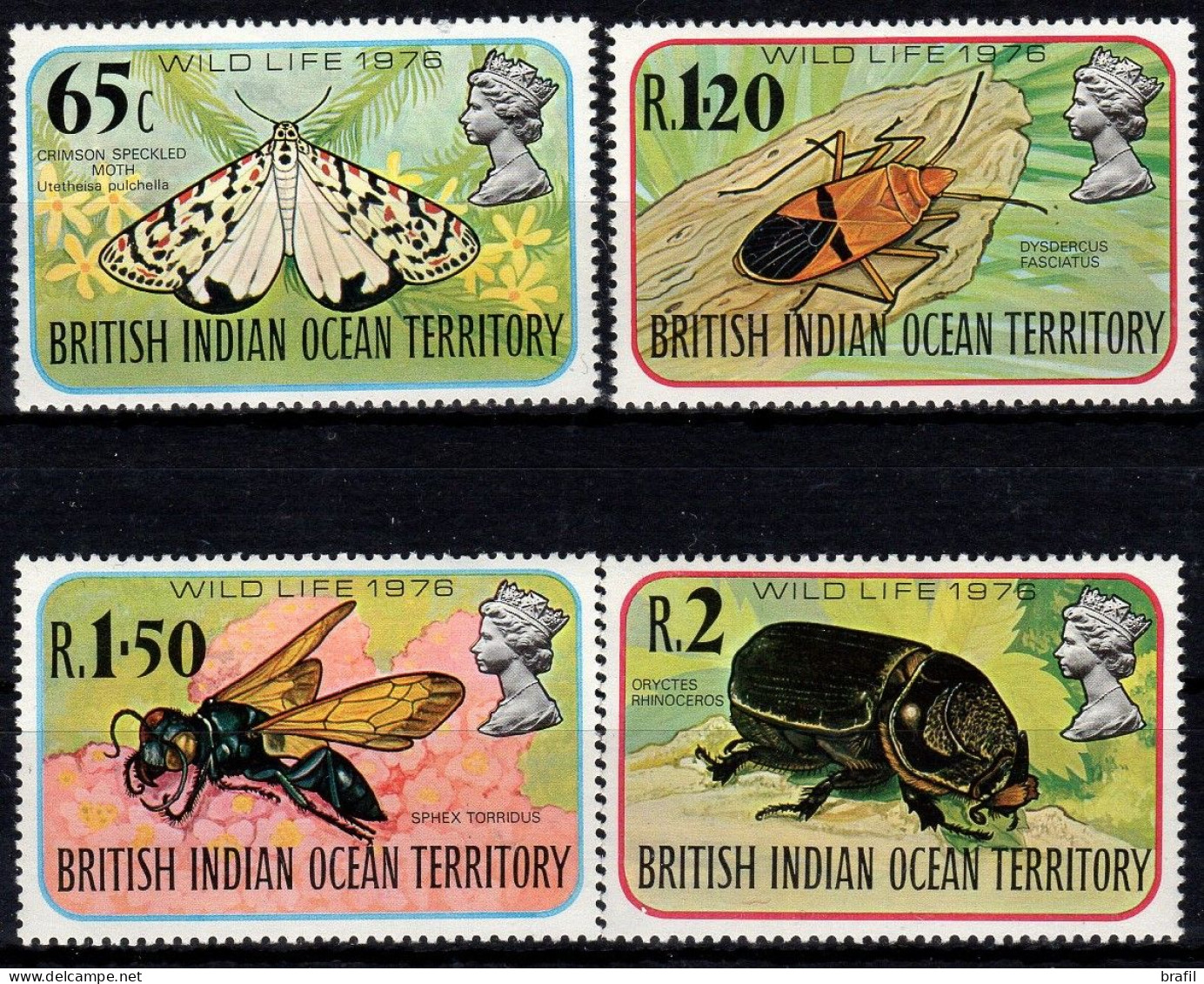 1976 Oceano Indiano, Insetti Farfalle, Serie Completa Nuova (**) - Brits Indische Oceaanterritorium