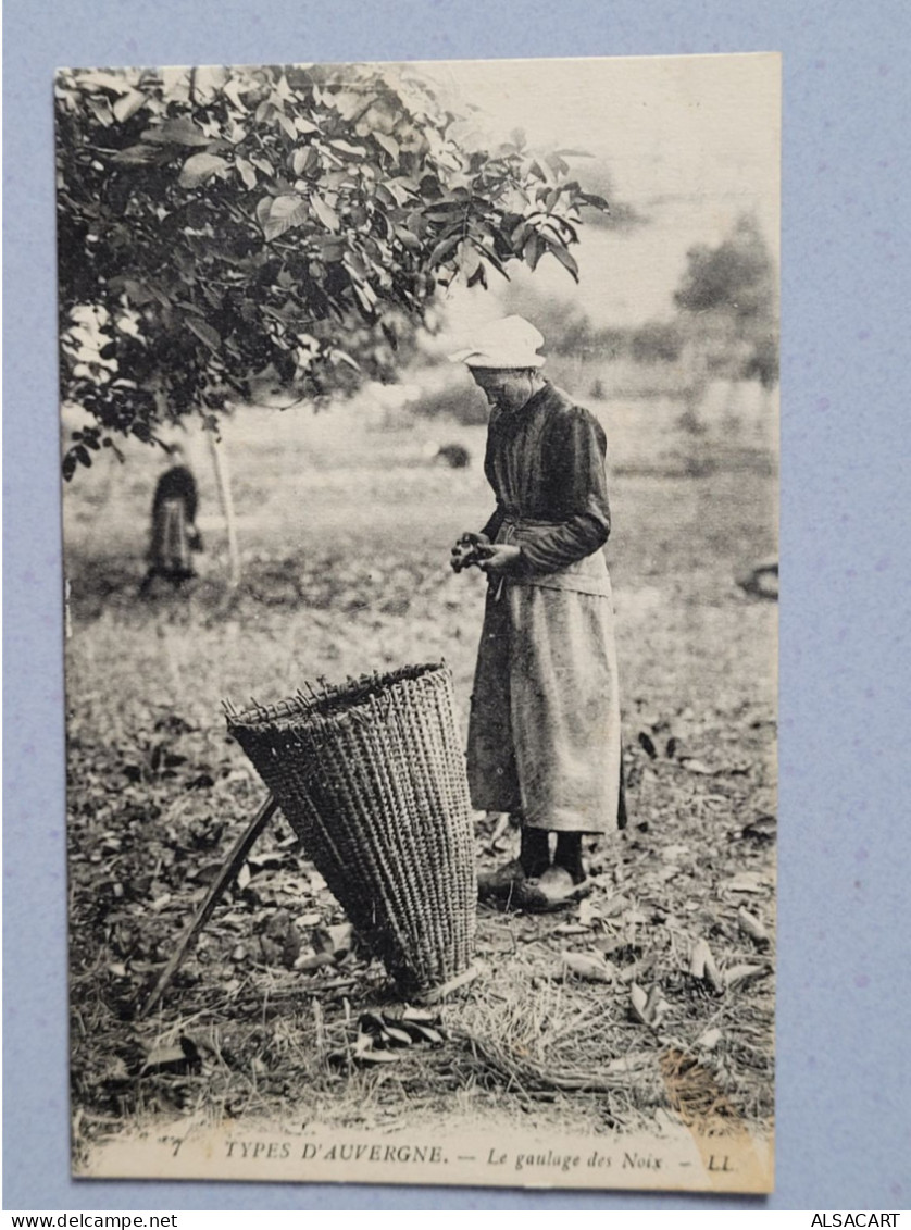 Types D'auvergne , Gaulage Des Noix , LL - Auvergne