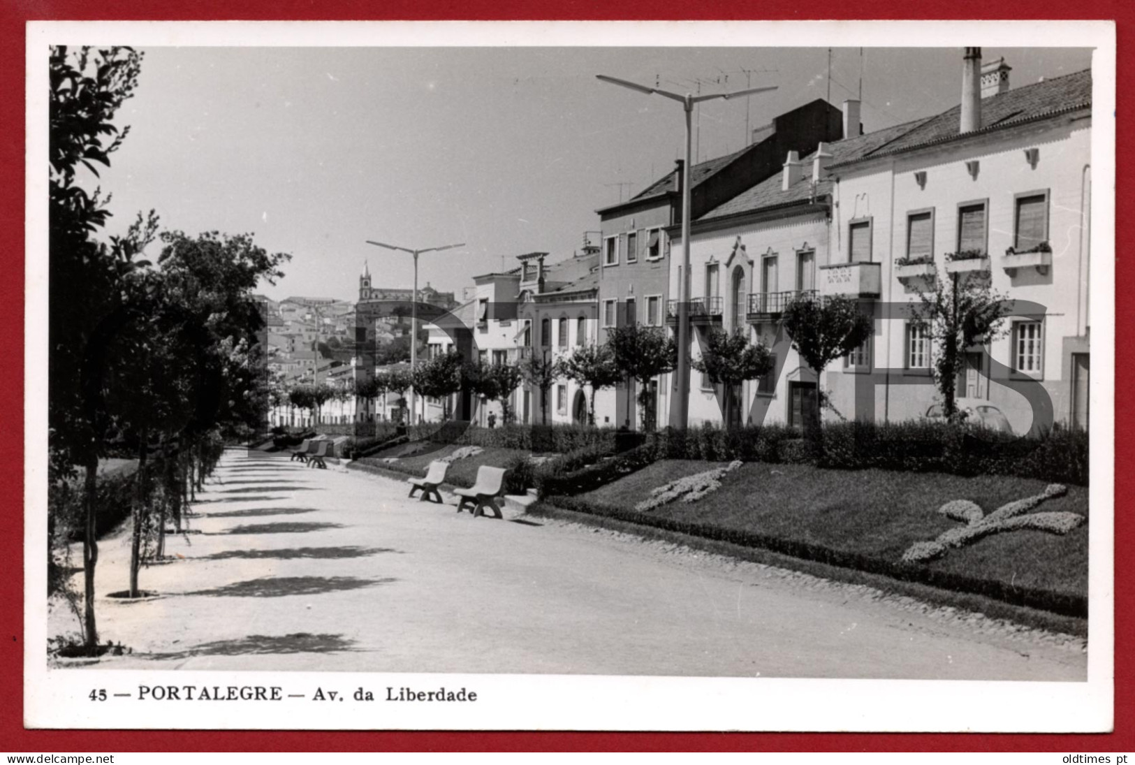 PORTUGAL - PORTALEGRE - AVENIDA DA LIBERDADE - ANOS 50 REAL PHOTO PC - Portalegre