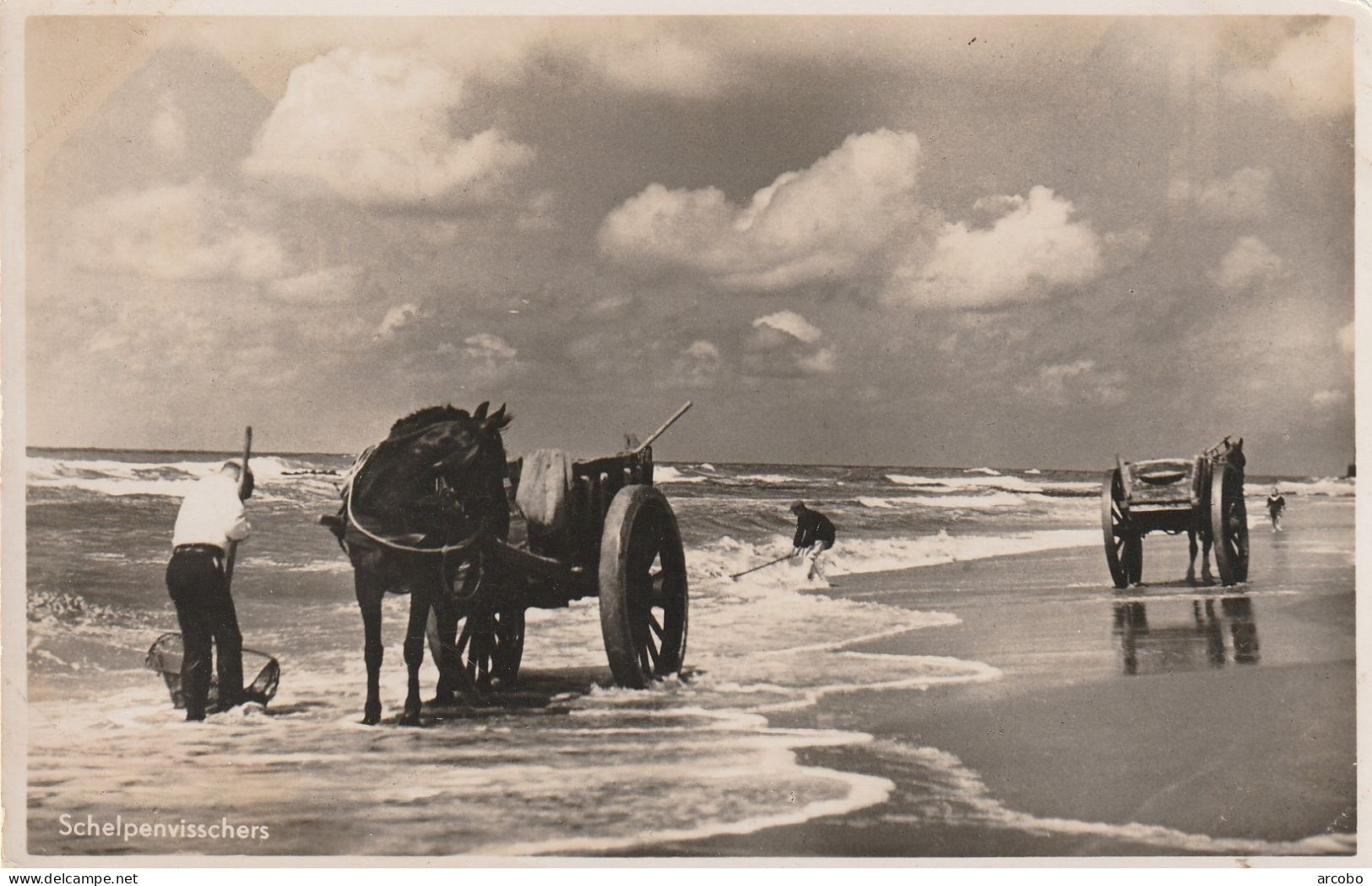 Schelpenvissers Groeten Uit Katwijk Aan Zee - Katwijk (aan Zee)