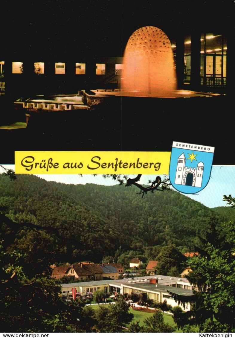 AK - Senftenberg , Institut - Senftenberg