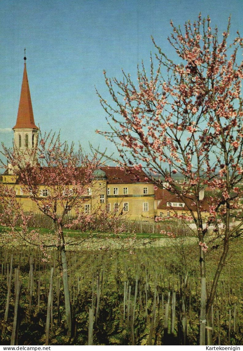 AK - Gumpoldskirchen - Mödling