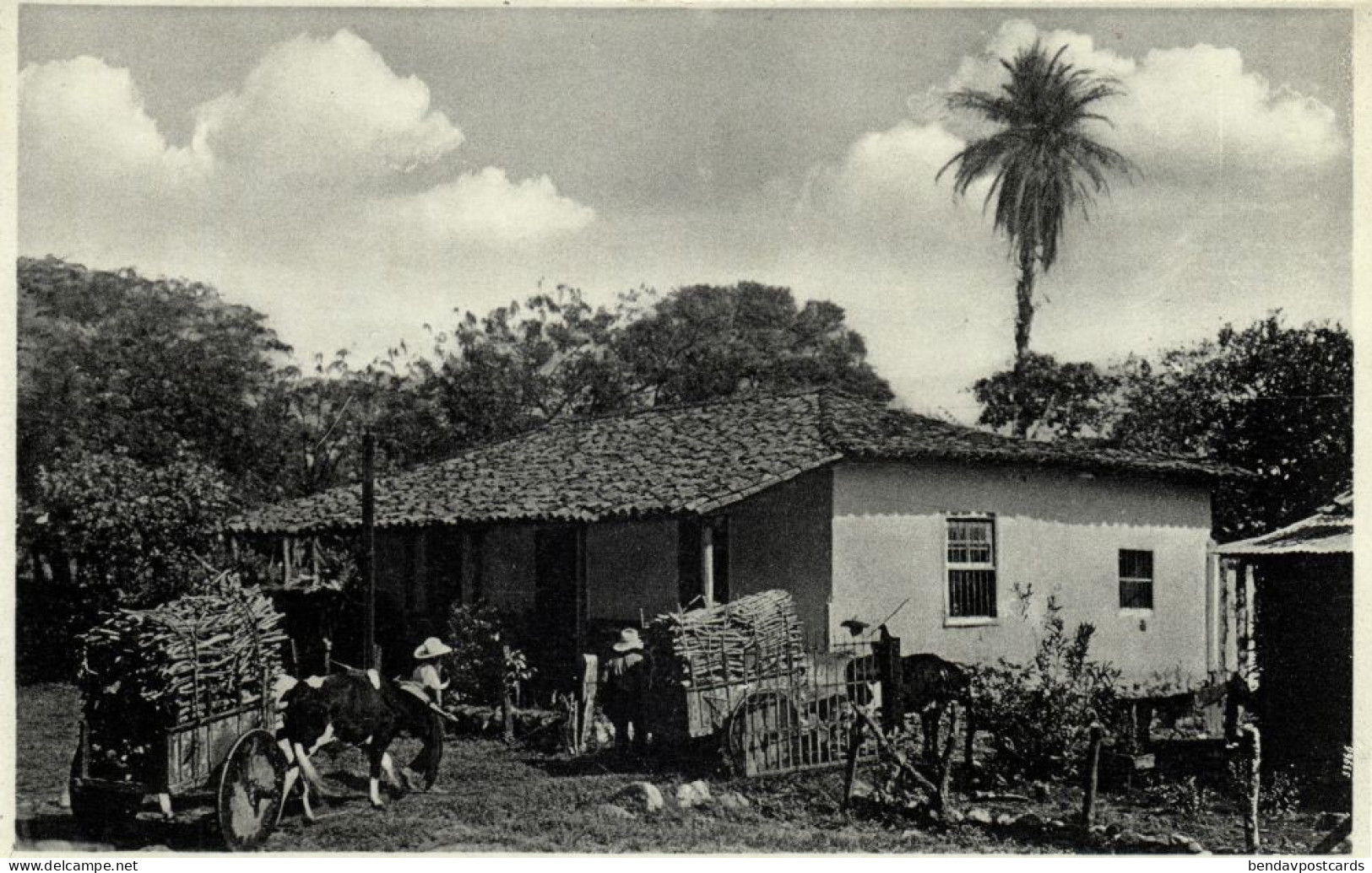 Costa Rica, C.A., Casa Campestre, Ox Cart (1920s) Postcard - Costa Rica