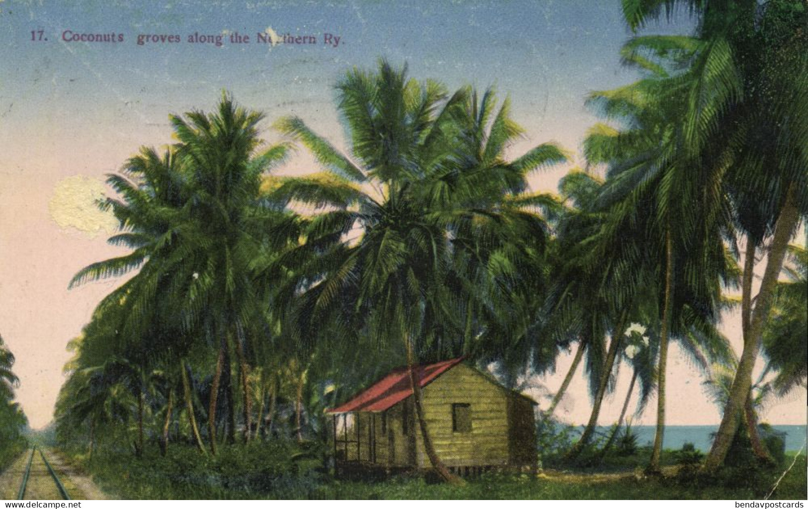 Costa Rica, C.A., Coconut Groves Along The Northern Ry (1926) Wimmer Postcard - Costa Rica