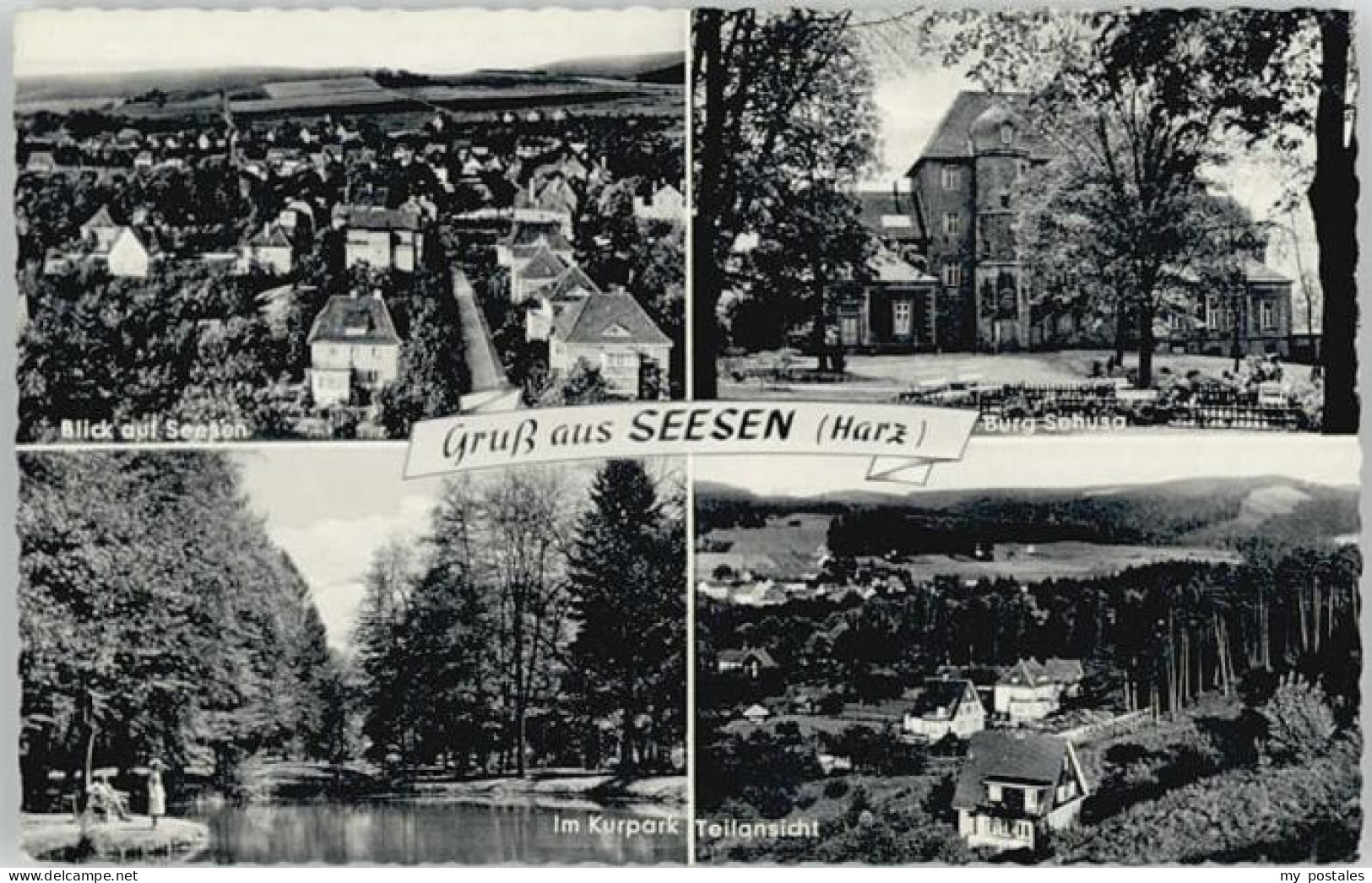 70132628 Seesen Harz Seesen Kurpark Burg Sehusa * Seesen - Seesen