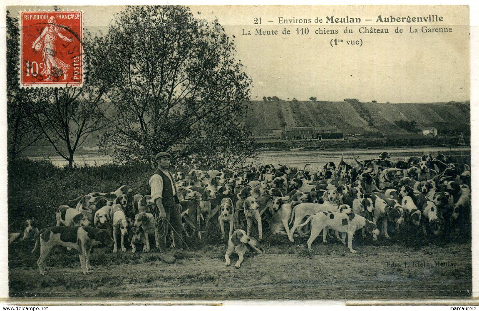 Cpa  Aubergenville Meute De Chasse à Courre (110 Chiens),  Beau Plan - Aubergenville