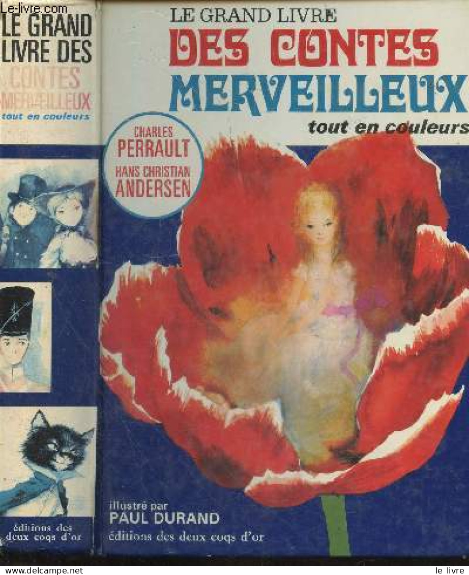 Le Grand Livre Des Contes Merveilleux Tout En Couleurs - Peau D'ane, La Barbe Bleue, Les Fees, Riquet A La Houppe, Le Ch - Märchen