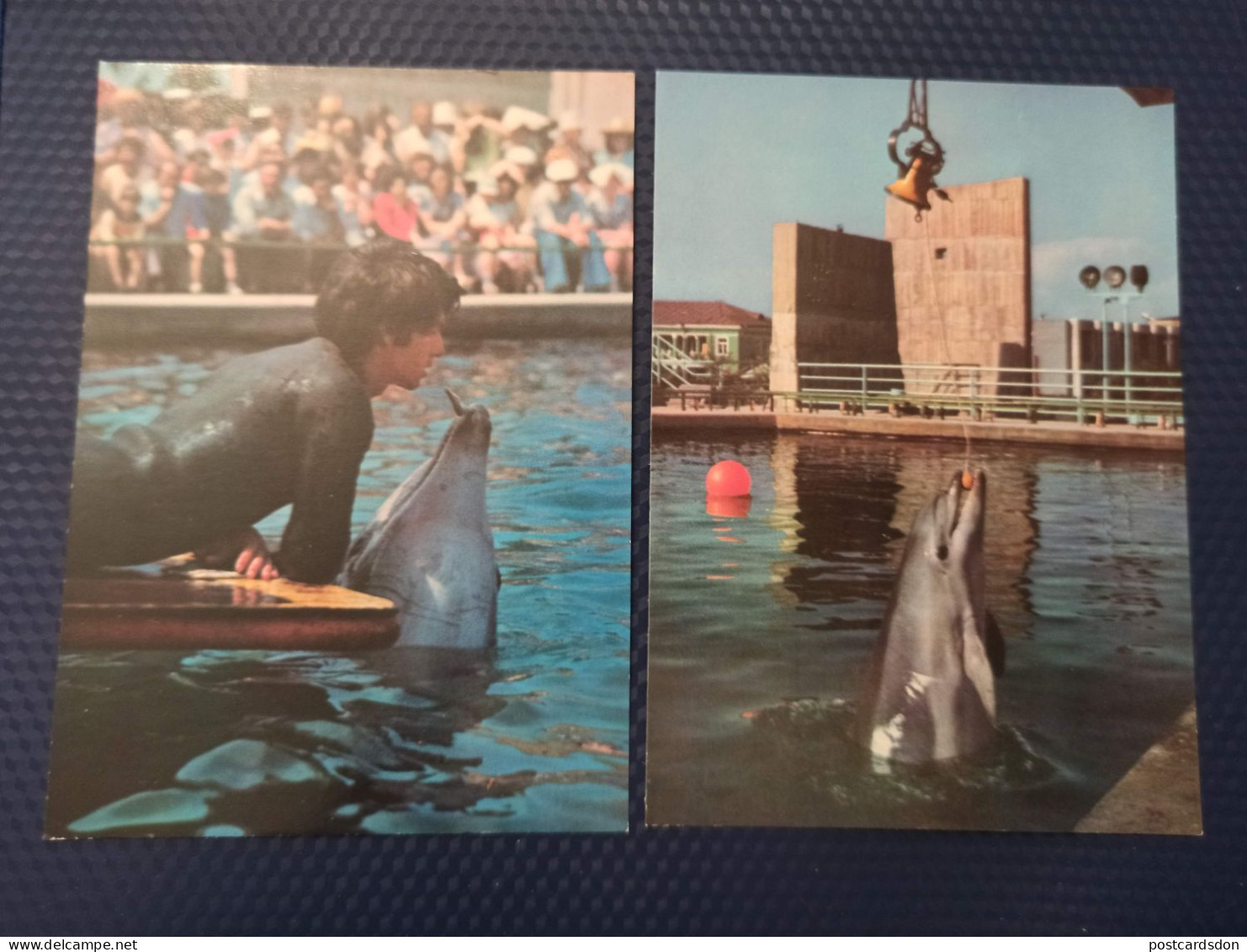 OLD Soviet POSTCARD -  Georgia, Batumi Zoo Oceanarium. Georgia  - DOLPHIN - 2 PCs Lot 1980 - Dolfijnen