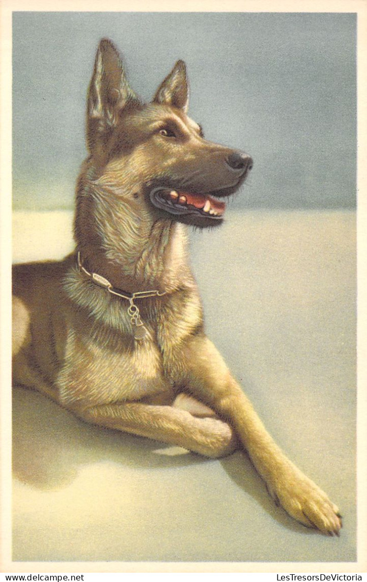FANTAISIE - Chiens - CHIEN - Animaux Et Faune - DOG - Carte Postale - Cani