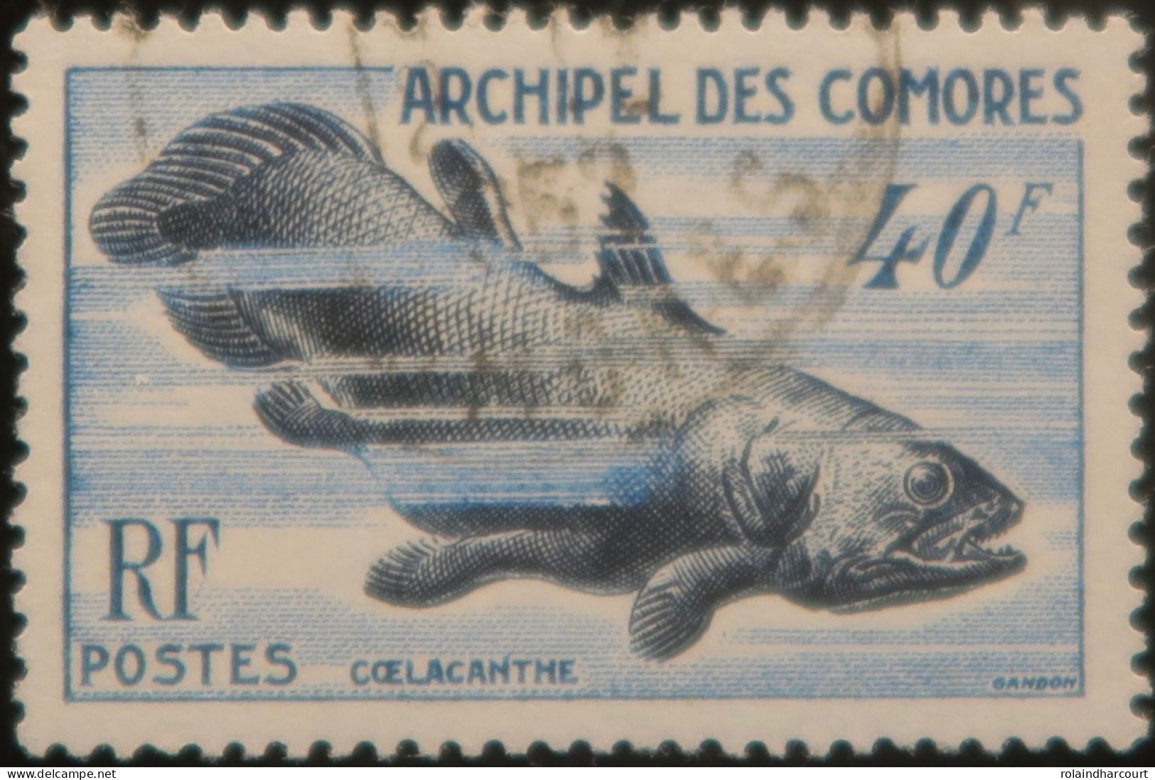 LP3972/5 - 1954 - COLONIES FRANÇAISES - COMORES - COELACANTHE - N°13 Oblitéré - Cote (2024) : 25,00 € - Used Stamps