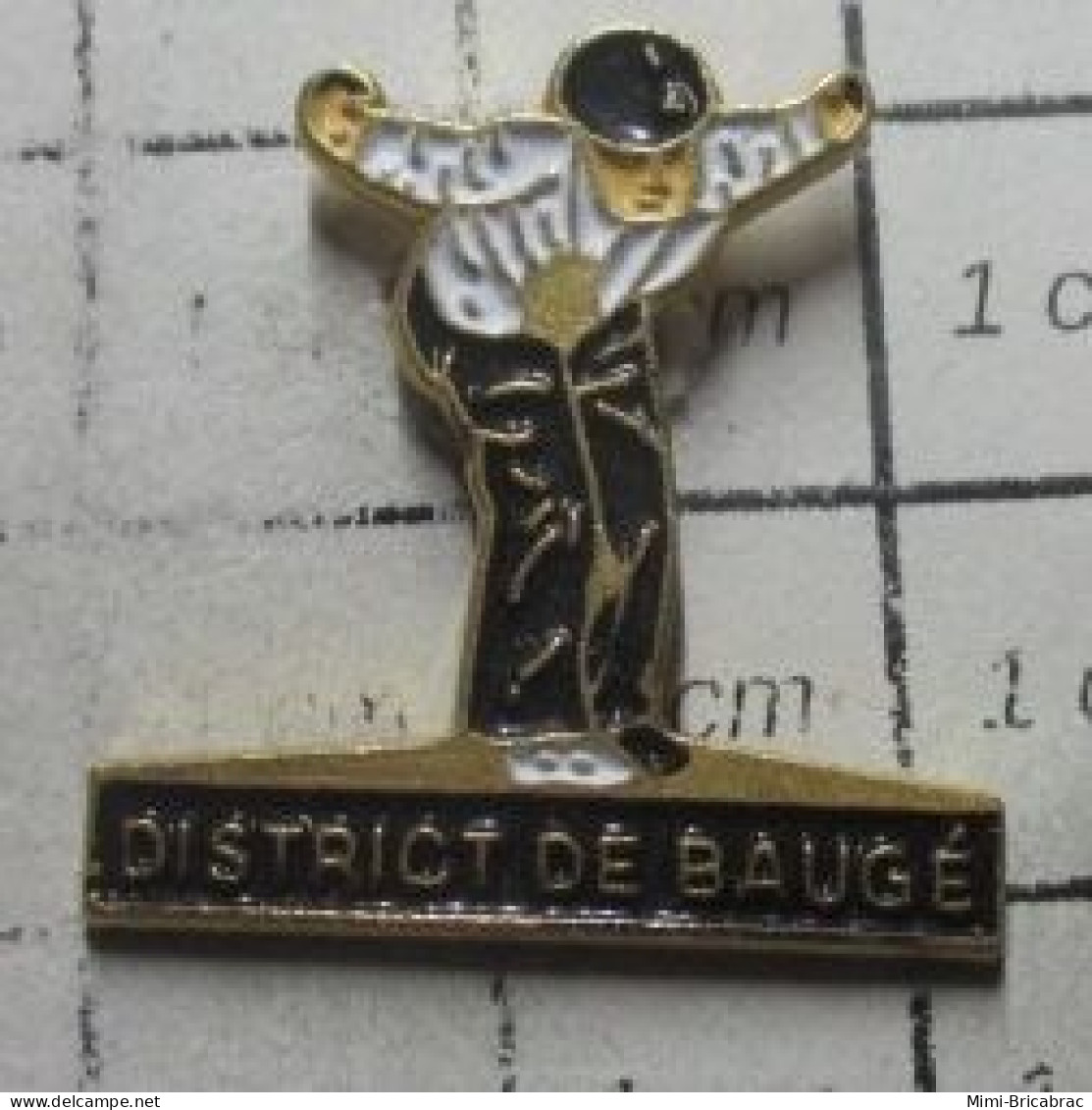 712E  Pin's Pins / Beau Et Rare / SPORTS / PETANQUE DISTRICT DE BAUGé - Petanque