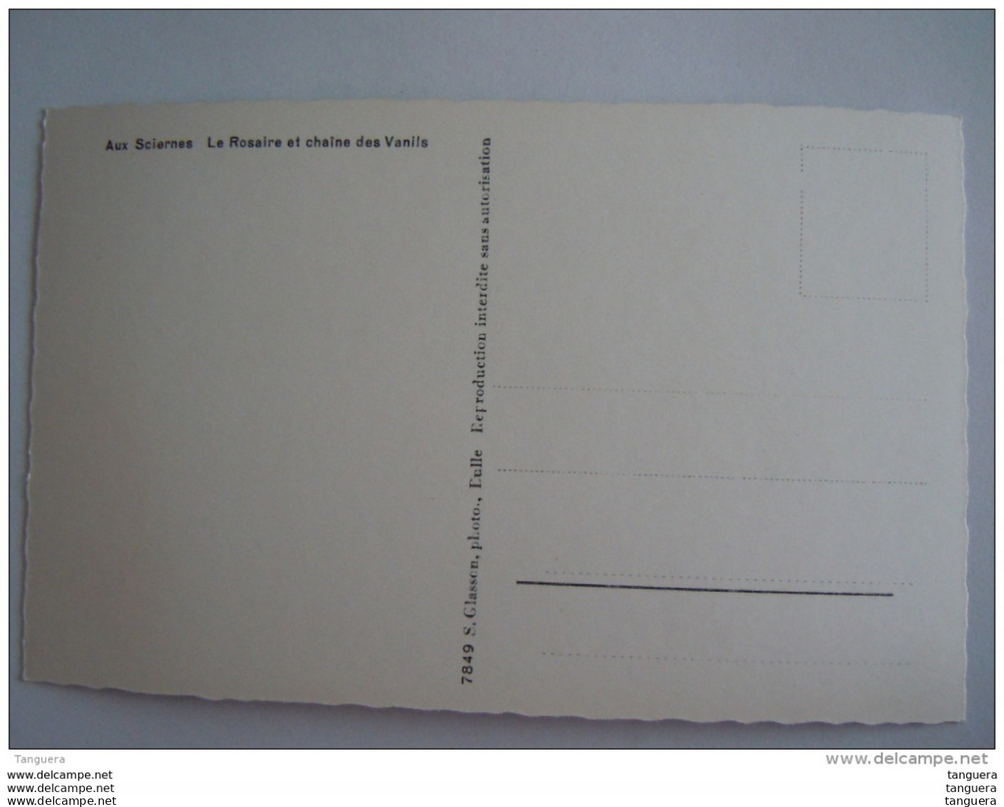 Cpsm Suisse Aux Sciernes Le Rosaire Et Chaine Des Vanils  Edit Glasson 7849 - Albeuve